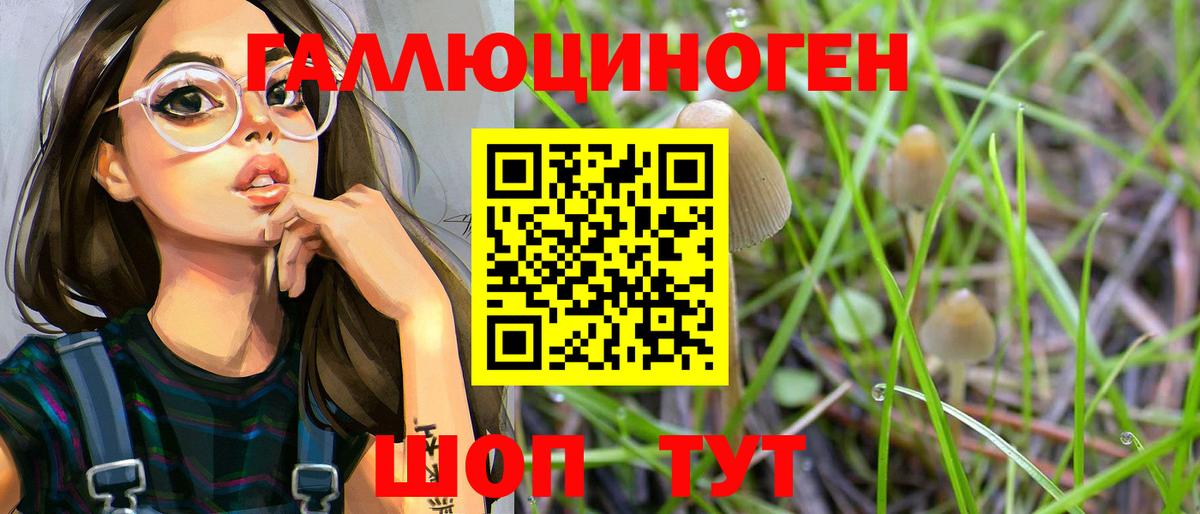 Псилоцибиновые грибы MAGIC MUSHROOMS  Вход с VPN  Тихорецк 